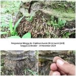 WhatsApp Image 2024-12-15 at 09.24.33 (1)