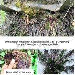 WhatsApp Image 2024-12-15 at 09.24.33