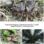 WhatsApp Image 2024-12-15 at 09.24.34